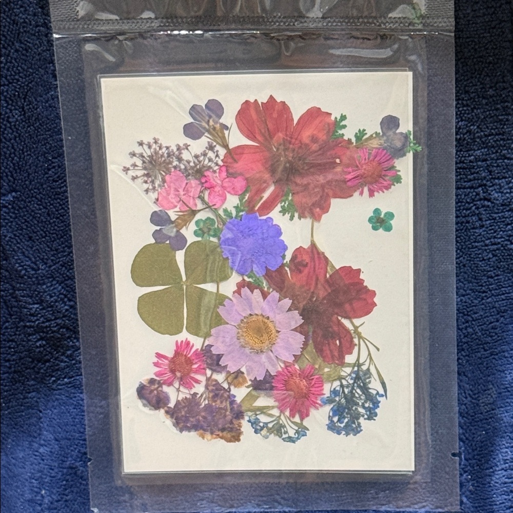Pressed Floral Art Card - Assorted Pink, Red, Purple Blooms